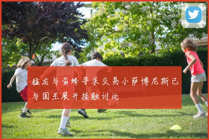 猛龙与黄蜂寻求交易小萨博尼斯已与国王展开接触讨论