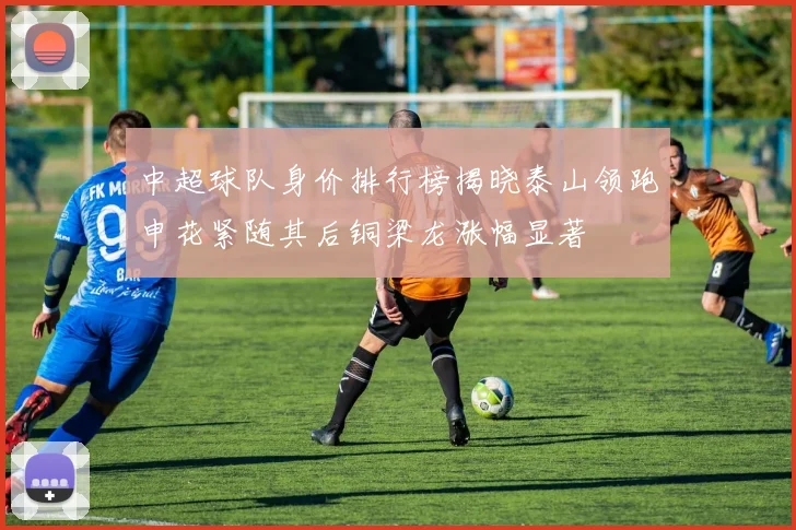 中超球队身价排行榜揭晓泰山领跑申花紧随其后铜梁龙涨幅显著